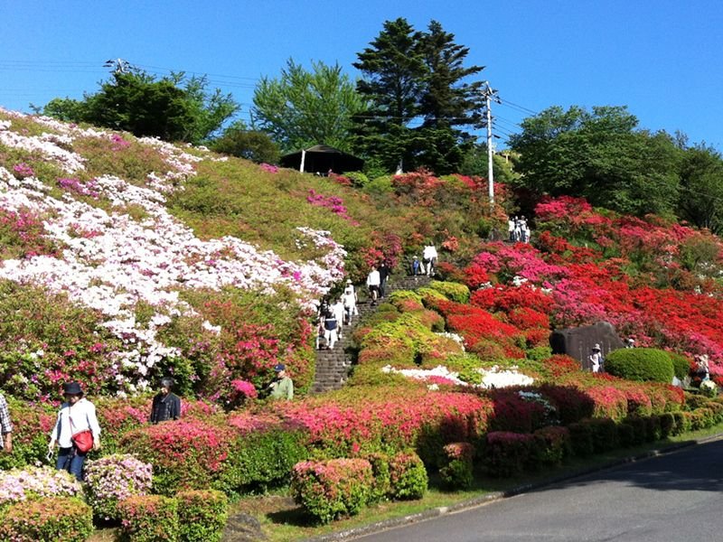 🏞️ 고무로야마 공원(코무로야마코엔) 이미지 7
